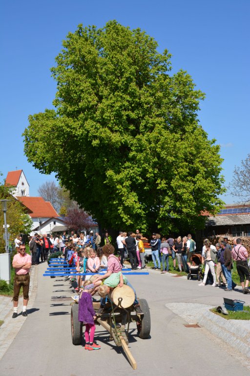 Maibaumfest-2019